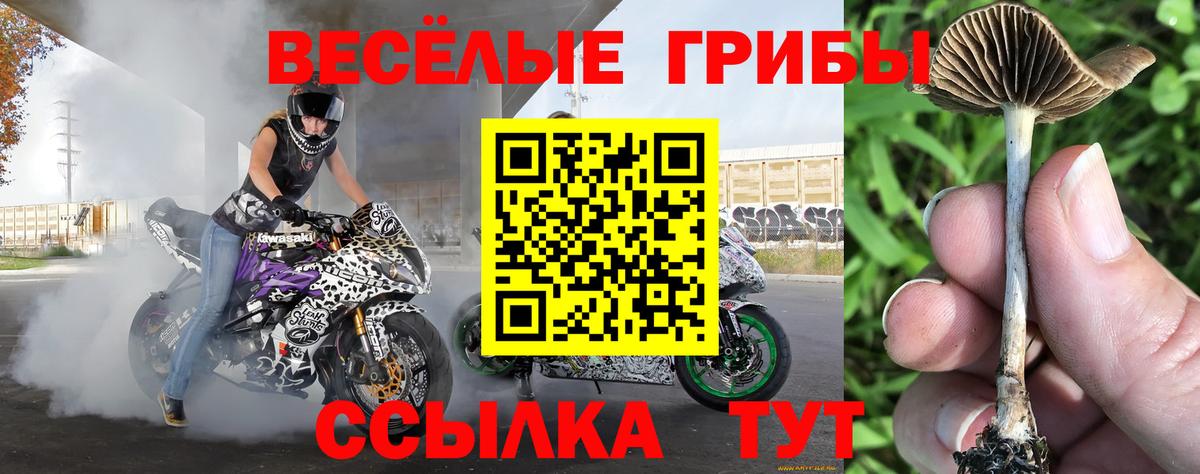 Псилоцибиновые грибы MAGIC MUSHROOMS  Галлюциногенные грибы Psilocybine cubensis  Вход с VPN  Нефтеюганск 