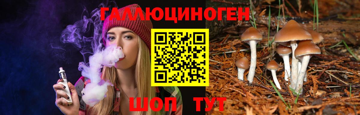 Псилоцибиновые грибы Psilocybine cubensis Нефтеюганск